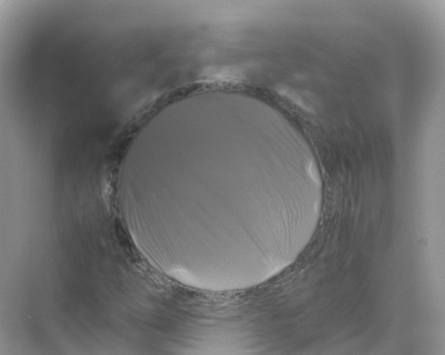 X0000070171254200606162047