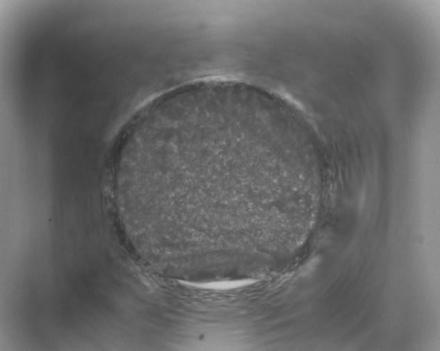 X0000070171255200606162047