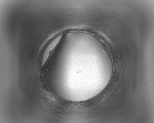 X0000070171256200606162047