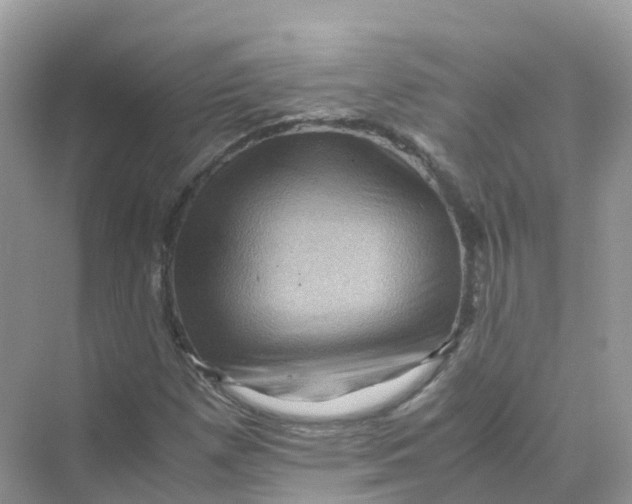 X0000070171257200606162047