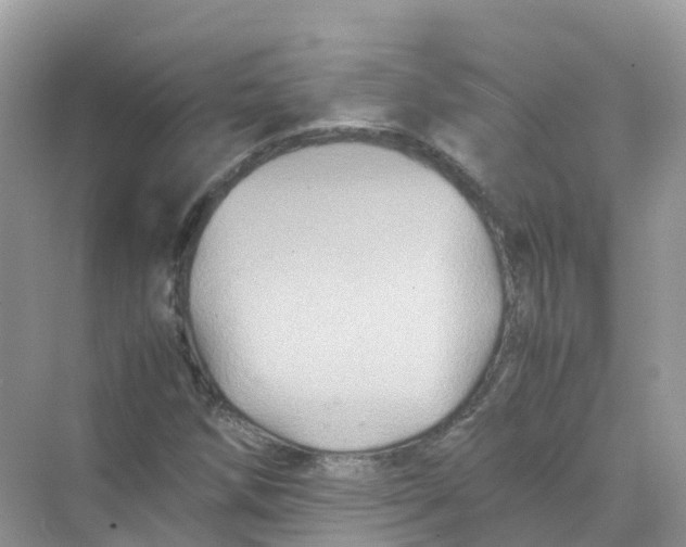 X0000070171258200606162047