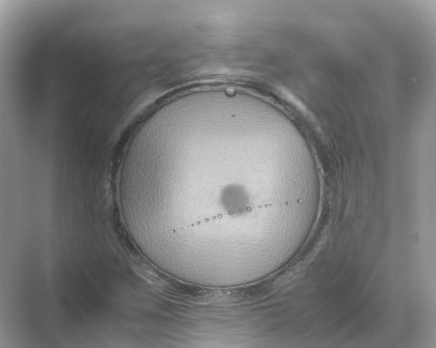 X0000070171259200606162047