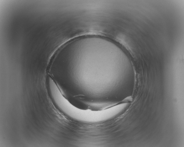 X0000070171260200606162047