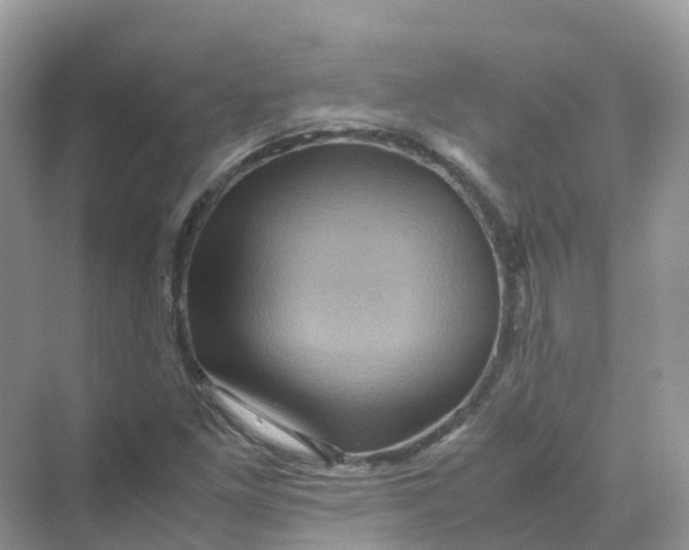 X0000070171261200606162047