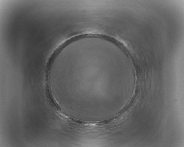 X0000070171263200606162047