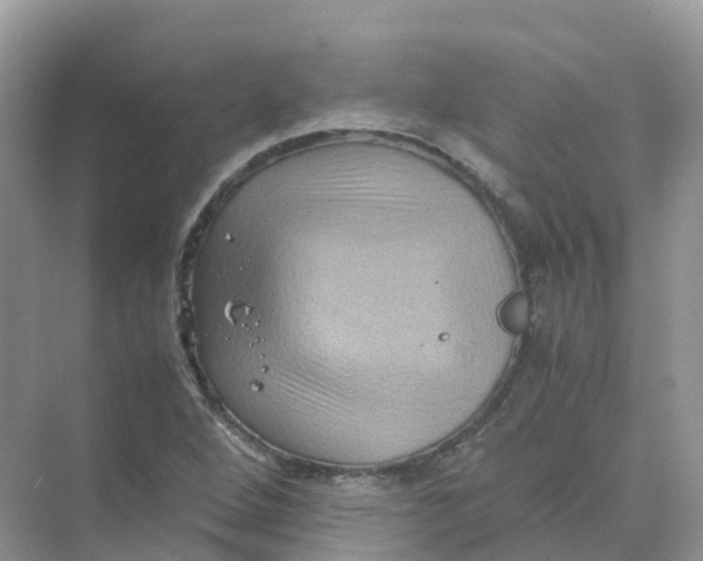 X0000070171264200606162047