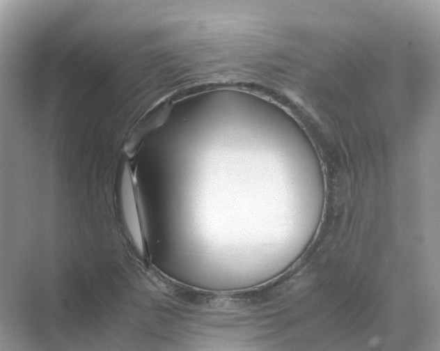 X0000070171265200606162047