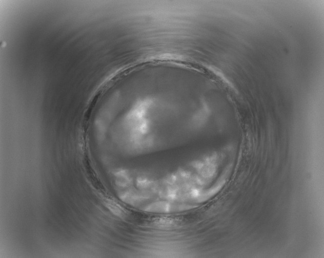 X0000070171266200606162047