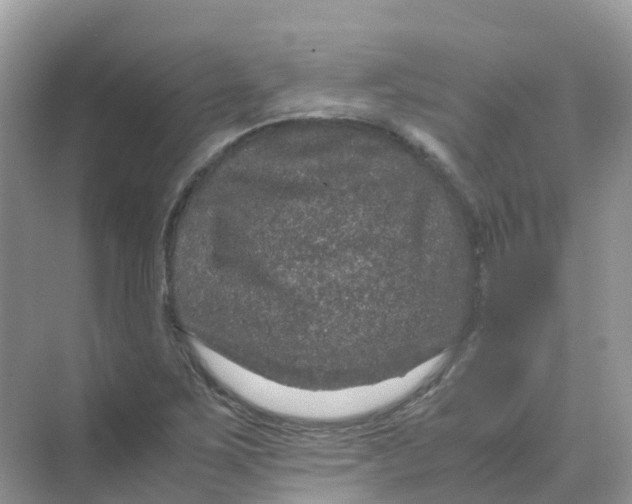 X0000070171267200606162047