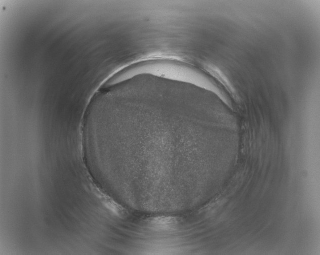 X0000070171268200606162047