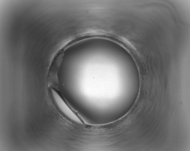 X0000070171269200606162046