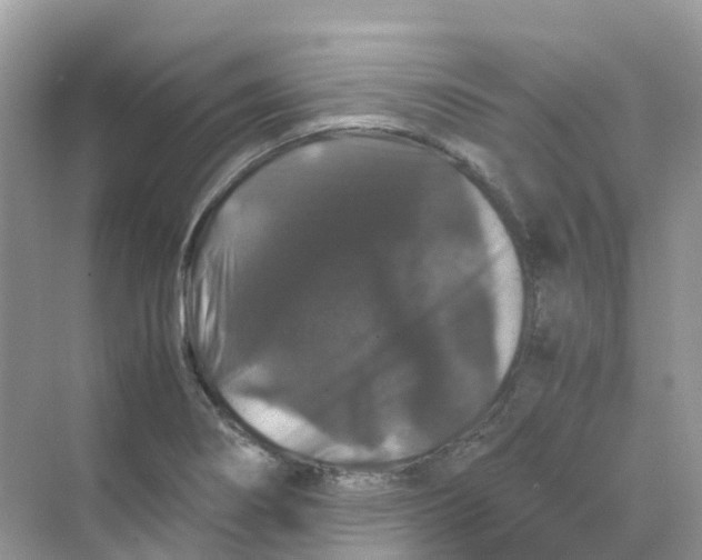 X0000070171274200606162046
