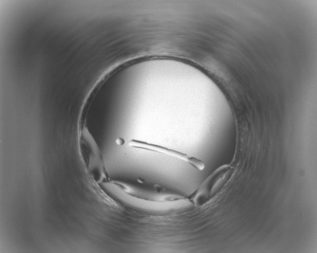 X0000070171280200606162046