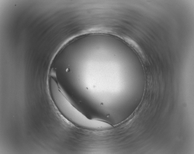 X0000070171288200606162046