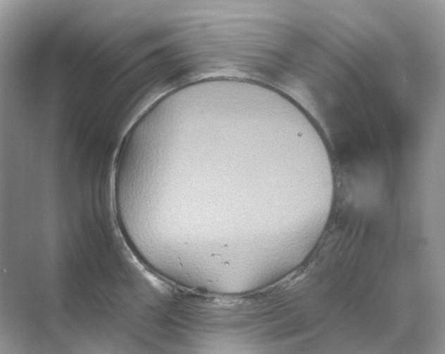 X0000070171290200606162046