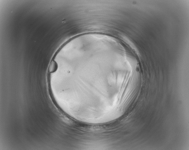 X0000070171291200606162046