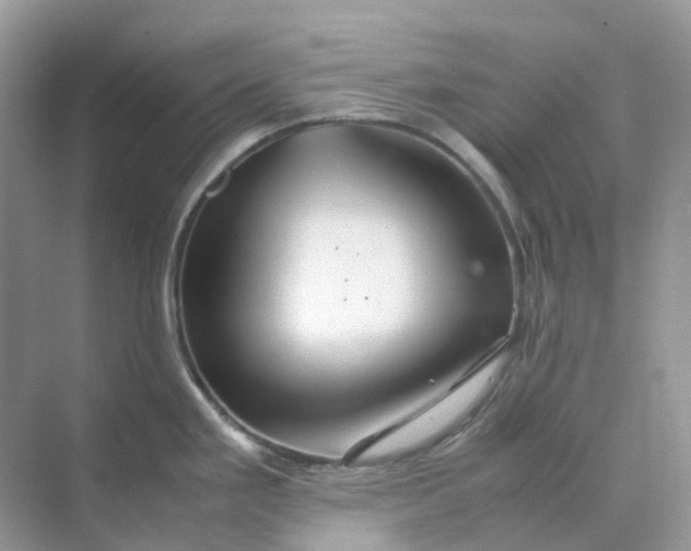 X0000070171293200606162046