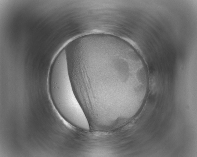 X0000070171294200606162046