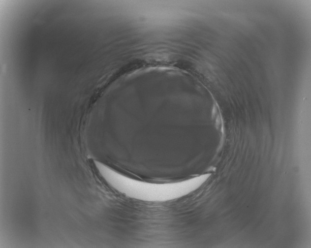 X0000070171297200606162045