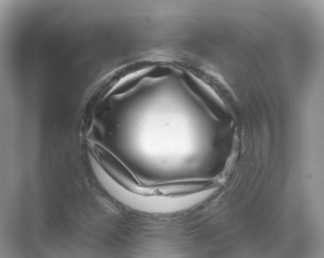X0000070171304200606162045