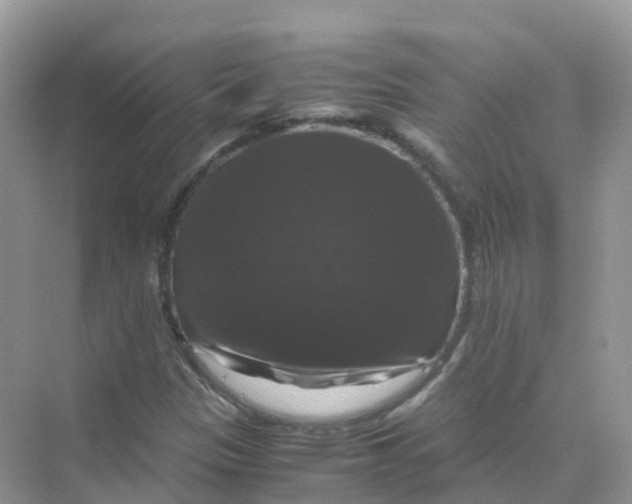 X0000070171305200606162045