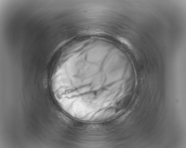 X0000070171306200606162045