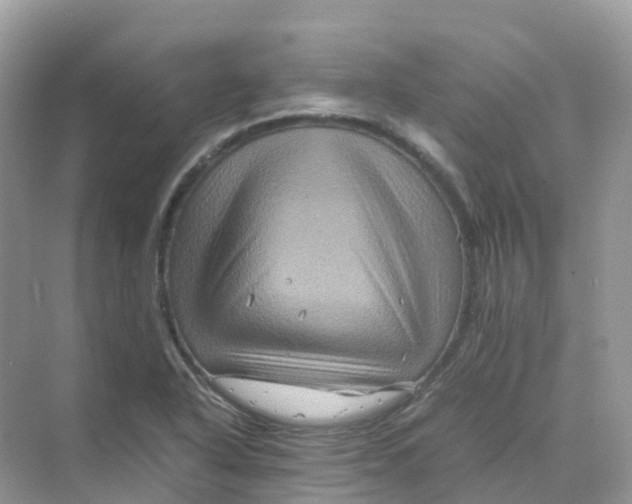 X0000070171318200606162046