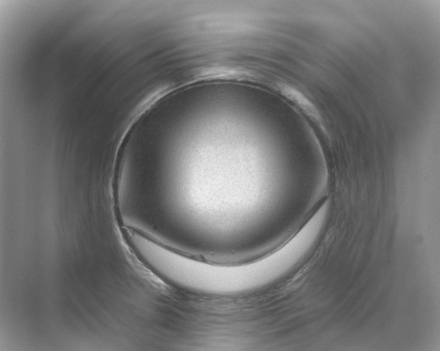 X0000070171330200606162046