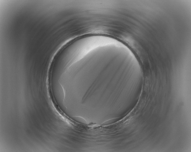 X0000070171331200606162046