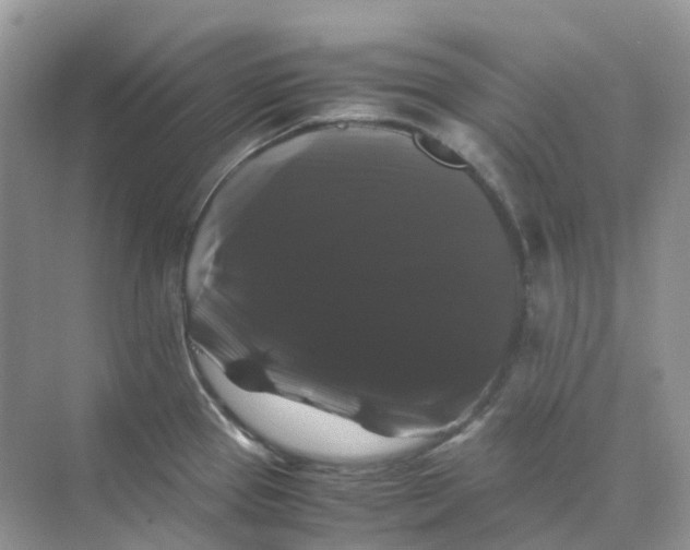 X0000070171337200606162046