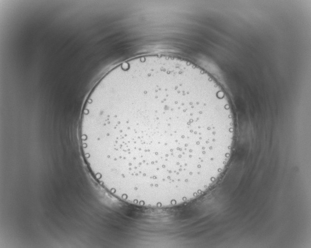 X0000070171338200606162046