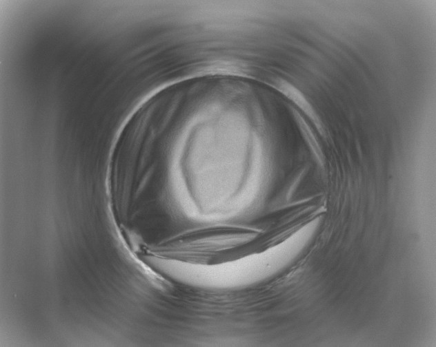 X0000070171339200606162046