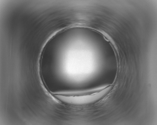 X0000070171341200606162046