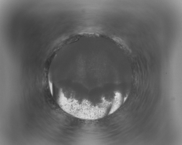 X0000070171350200606162045