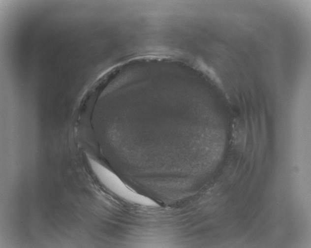 X0000070171352200606162045