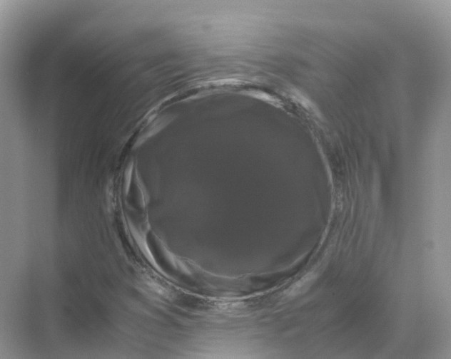X0000070171353200606162045