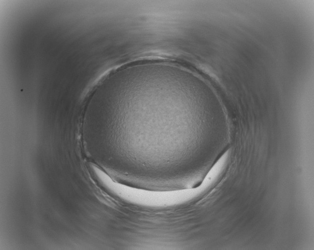 X0000070171355200606162045