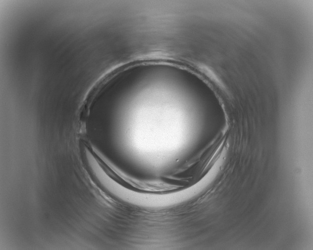 X0000070171356200606162045