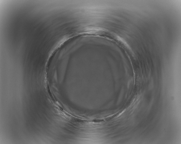 X0000070171362200606162045