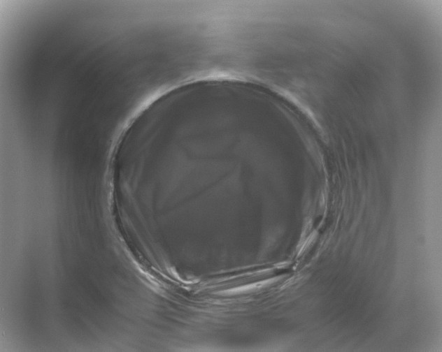 X0000070171367200606162045