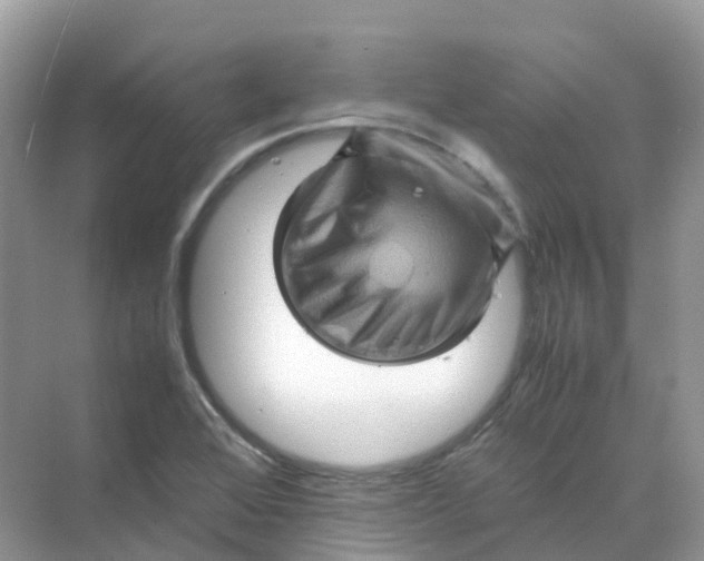 X0000070171368200606162045
