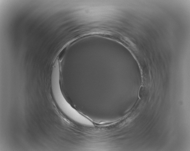X0000070171369200606162045