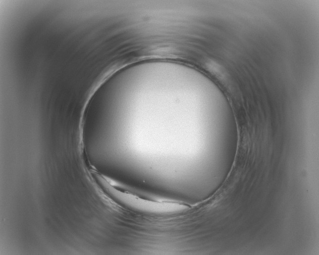 X0000070171370200606162045