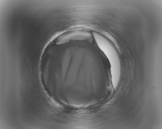 X0000070171373200606162045