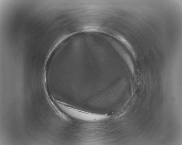 X0000070171376200606162045