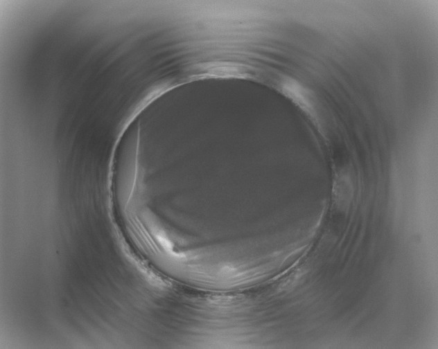 X0000070171378200606162045