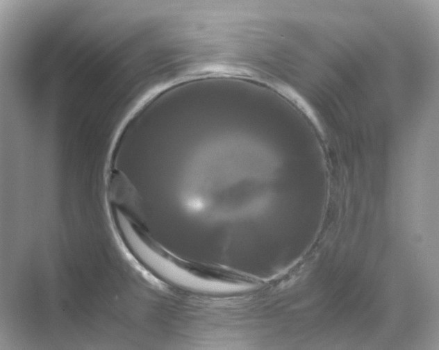 X0000070171381200606162045