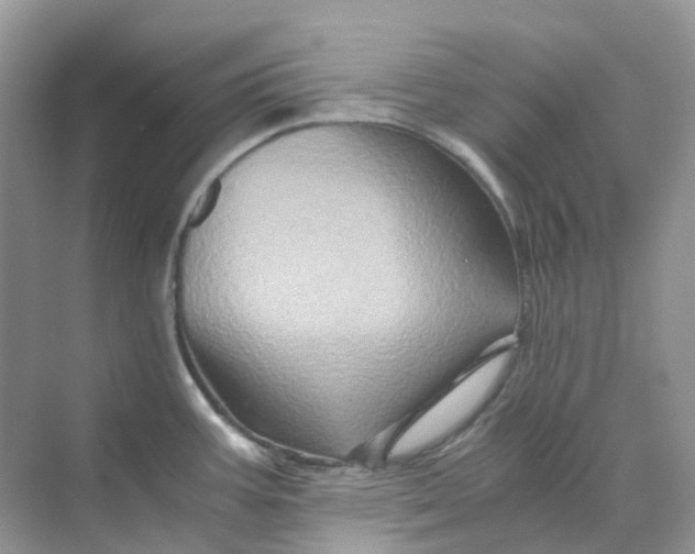 X0000070171387200606162045