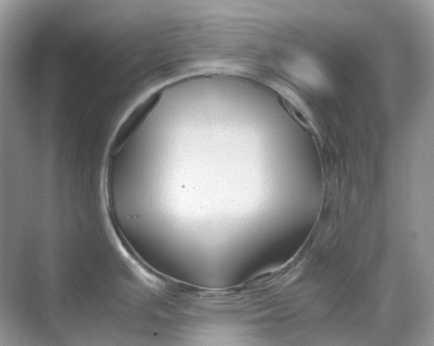 X0000070171391200606162044