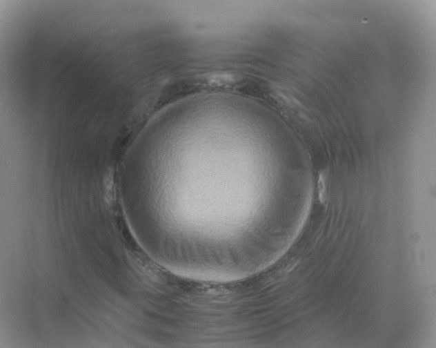 X0000070171395200606162044